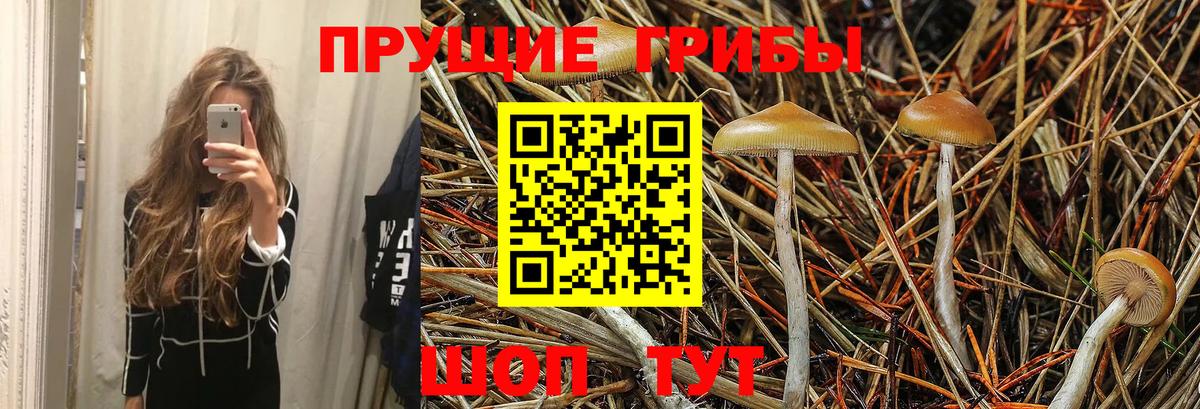 Псилоцибиновые грибы Psilocybine cubensis  Вход с VPN  даркнет сайт  Ялта  Псилоцибиновые грибы Psilocybine cubensis 